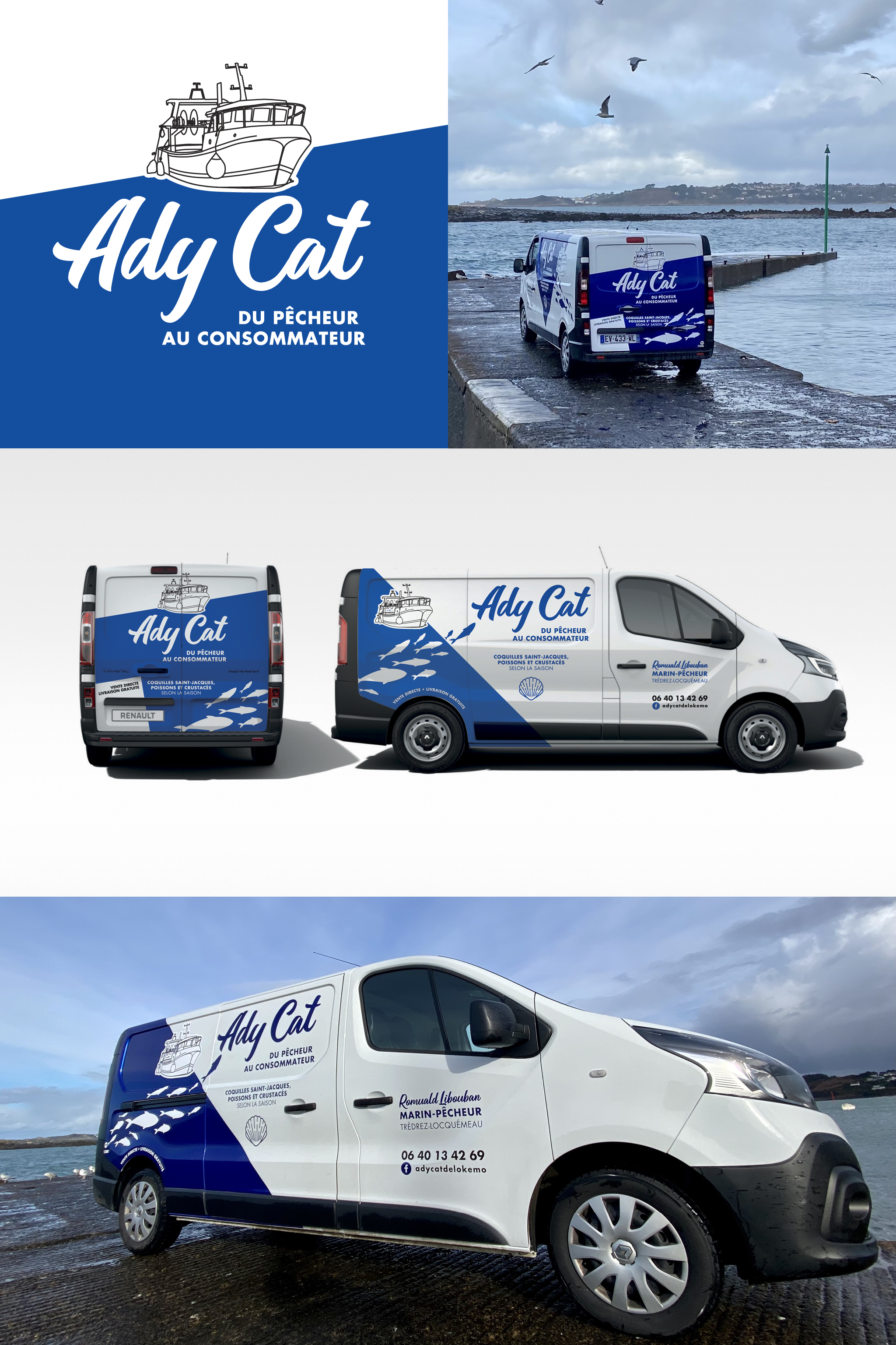 Ady Cat
